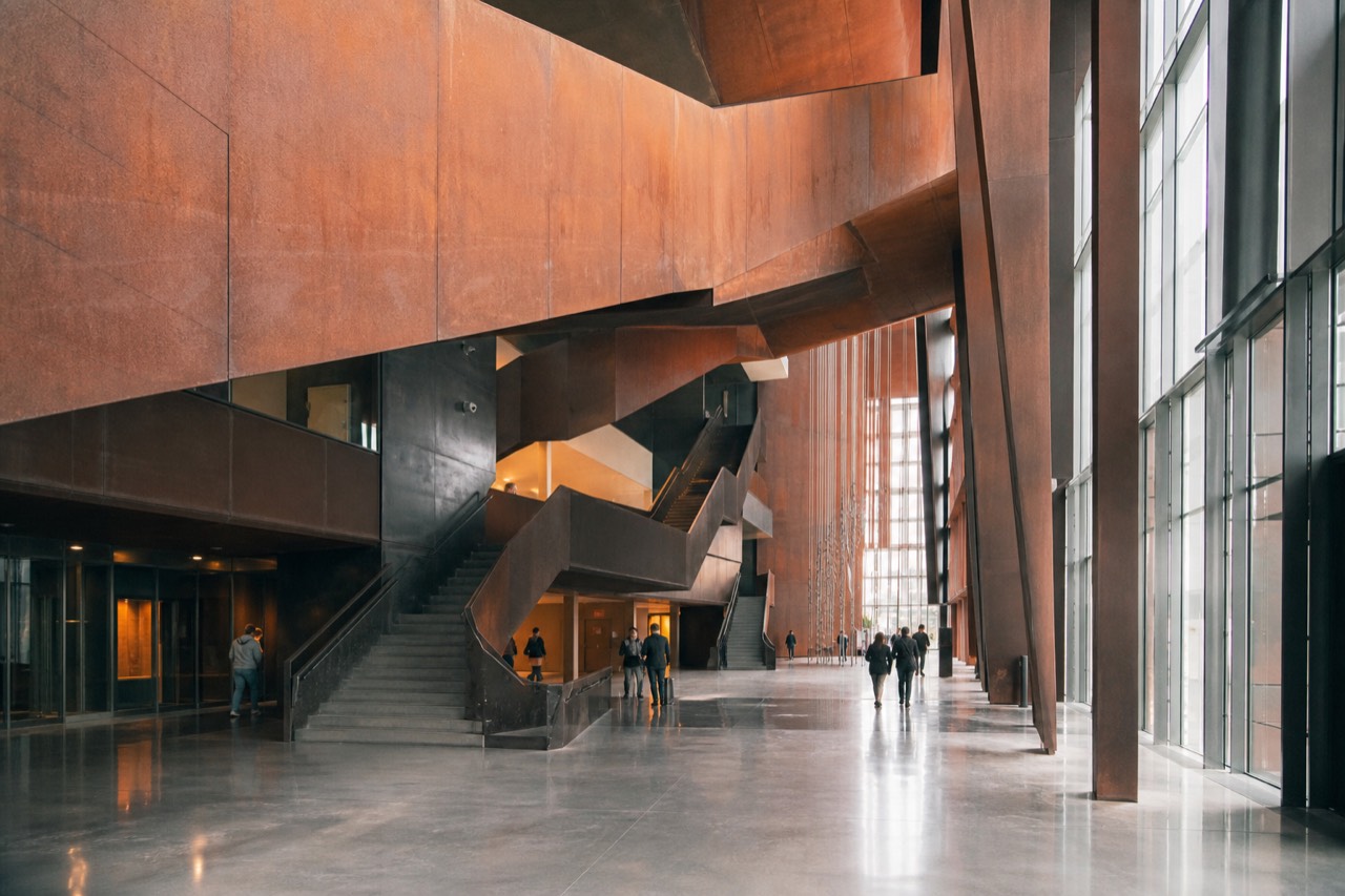 Museum hall of tall glass cases holding mounted birds and mammals under warm lighting